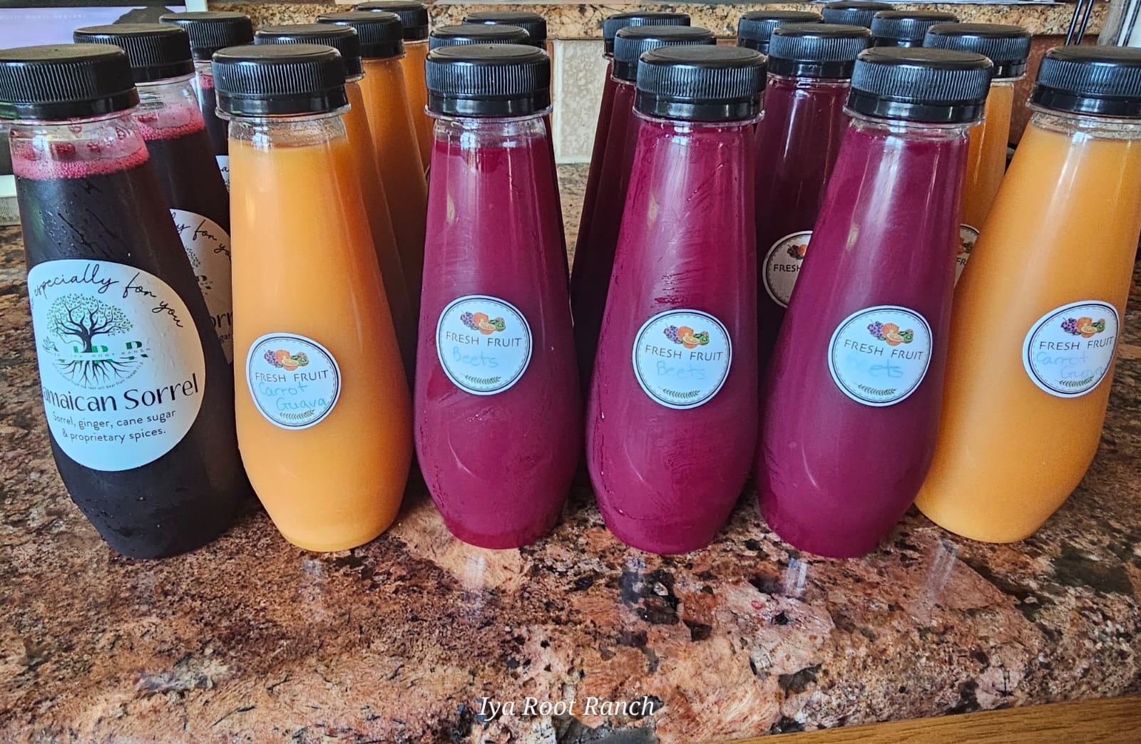 Cucumber Pineapple & Ginger